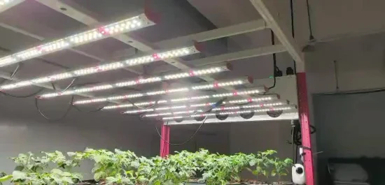 Luz LED de cultivo à prova d'água de espectro total 35/40 W para cultivo de aranhas em estufas e fazendas verticais